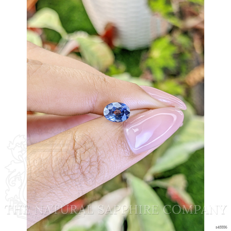 1.50 Ct. Bi Color / Parti Sapphire from Ceylon (Sri Lanka)