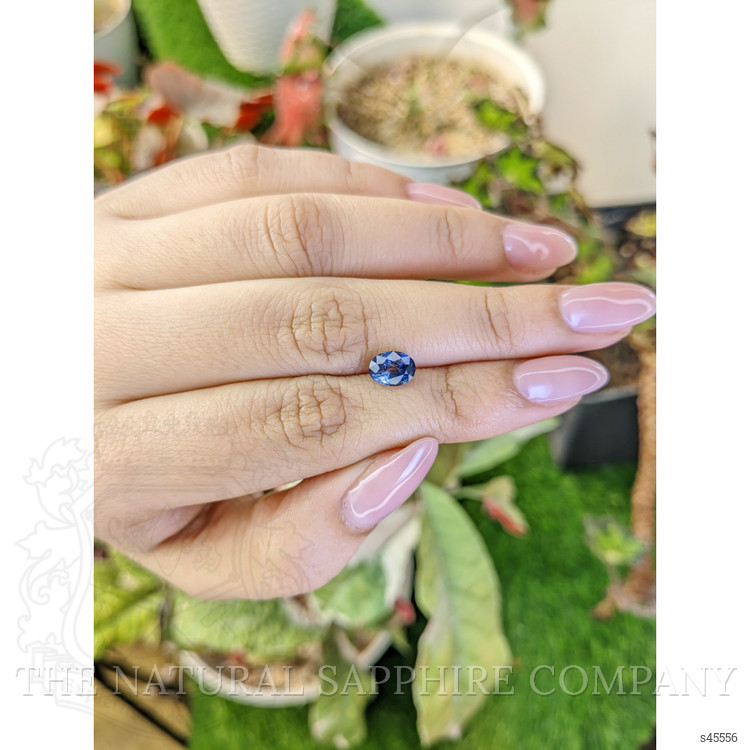 1.50 Ct. Bi Color / Parti Sapphire from Ceylon (Sri Lanka)