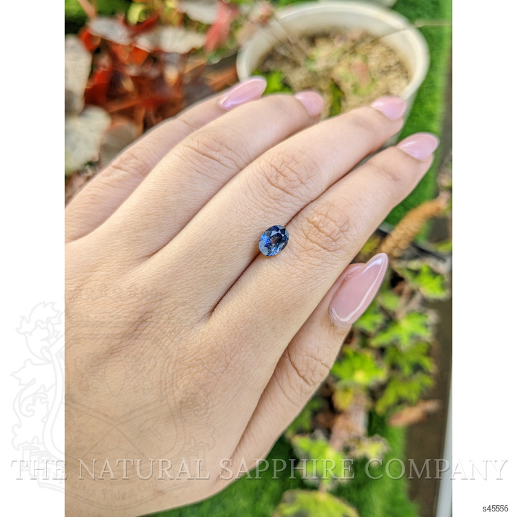 1.50 Ct. Bi Color / Parti Sapphire from Ceylon (Sri Lanka)