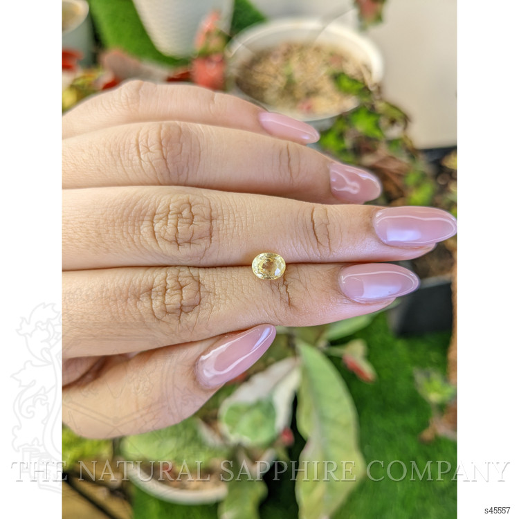 1.32 Ct. Yellow Sapphire from Ceylon (Sri Lanka)