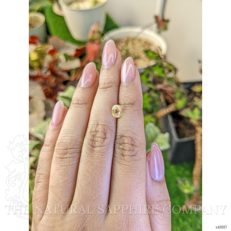 1.32 Ct. Yellow Sapphire from Ceylon (Sri Lanka)