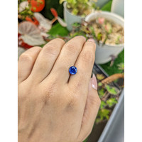 1.81 Ct. Blue Sapphire from Ceylon (Sri Lanka) Life Style