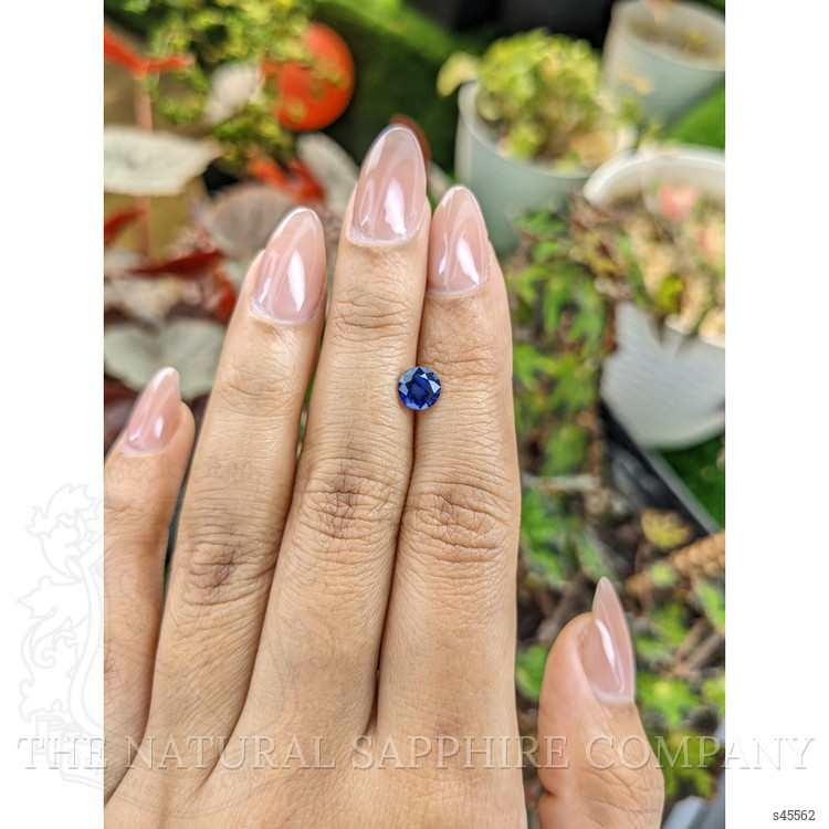 1.00 Ct. Blue Sapphire from Ceylon (Sri Lanka)