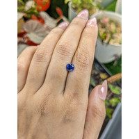 1.17 Ct. Blue Sapphire from Ceylon (Sri Lanka) Life Style