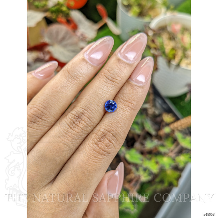 1.17 Ct. Blue Sapphire from Ceylon (Sri Lanka)