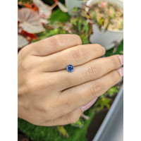 0.71 Ct. Blue Sapphire from Ceylon (Sri Lanka) Life Style