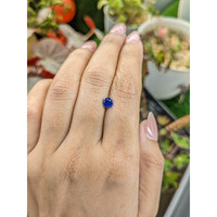 0.68 Ct. Blue Sapphire from Ceylon (Sri Lanka) Life Style
