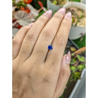 0.63 Ct. Blue Sapphire from Ceylon (Sri Lanka) Life Style
