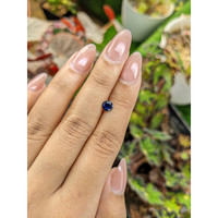 0.64 Ct. Blue Sapphire from Ceylon (Sri Lanka) Life Style