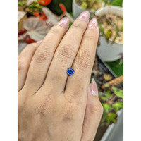 0.81 Ct. Blue Sapphire from Ceylon (Sri Lanka) Life Style