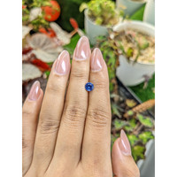 0.81 Ct. Blue Sapphire from Ceylon (Sri Lanka) Life Style