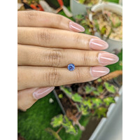 0.95 Ct. Blue Sapphire from Ceylon (Sri Lanka) Life Style