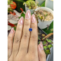 1.32 Ct. Blue Sapphire from Ceylon (Sri Lanka) Life Style