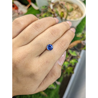 1.56 Ct. Blue Sapphire from Ceylon (Sri Lanka) Life Style