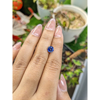 1.56 Ct. Blue Sapphire from Ceylon (Sri Lanka) Life Style