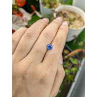 1.65 Ct. Blue Sapphire from Ceylon (Sri Lanka) Life Style