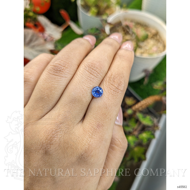 1.65 Ct. Blue Sapphire from Ceylon (Sri Lanka)