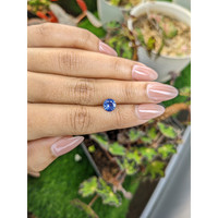 1.31 Ct. Blue Sapphire from Ceylon (Sri Lanka) Life Style
