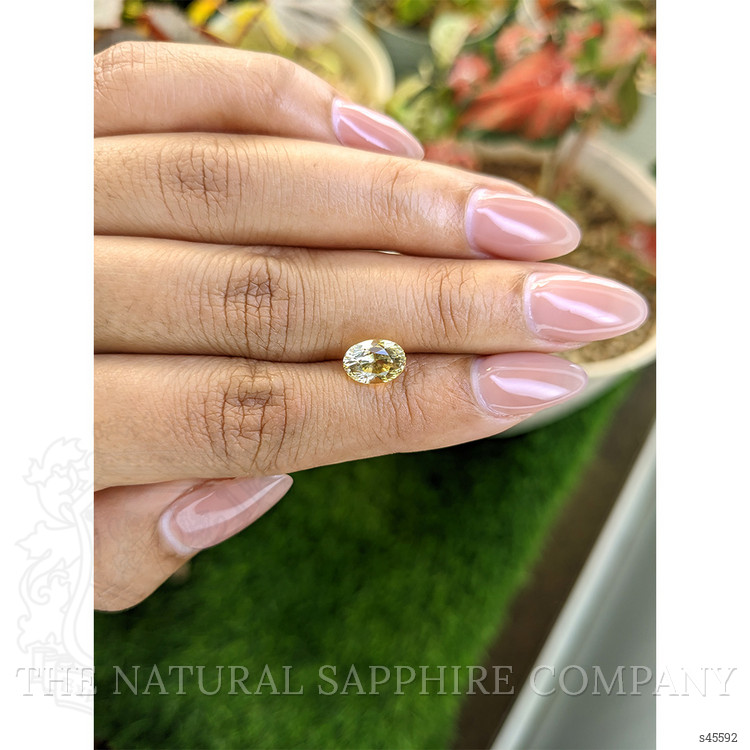 2.37 Ct. Yellow Sapphire from Ceylon (Sri Lanka)