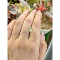 2.37 Ct. Yellow Sapphire from Ceylon (Sri Lanka) Life Style