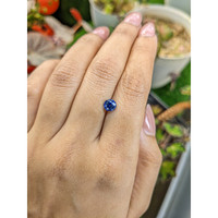 1.13 Ct. Blue Sapphire from Ceylon (Sri Lanka) Life Style