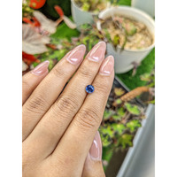 1.13 Ct. Blue Sapphire from Ceylon (Sri Lanka) Life Style