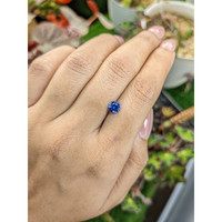 0.83 Ct. Blue Sapphire from Ceylon (Sri Lanka) Life Style