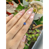 0.83 Ct. Blue Sapphire from Ceylon (Sri Lanka) Life Style