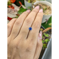 0.79 Ct. Blue Sapphire from Ceylon (Sri Lanka) Life Style
