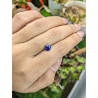 1.42 Ct. Blue Sapphire from Ceylon (Sri Lanka) Life Style