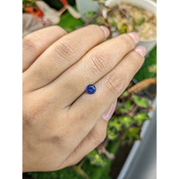 0.83 Ct. Blue Sapphire from Ceylon (Sri Lanka) Life Style