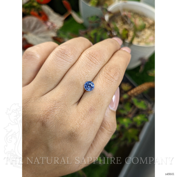 1.31 Ct. Blue Sapphire from Ceylon (Sri Lanka)