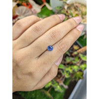 1.19 Ct. Blue Sapphire from Ceylon (Sri Lanka) Life Style