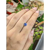 1.06 Ct. Blue Sapphire from Ceylon (Sri Lanka) Life Style