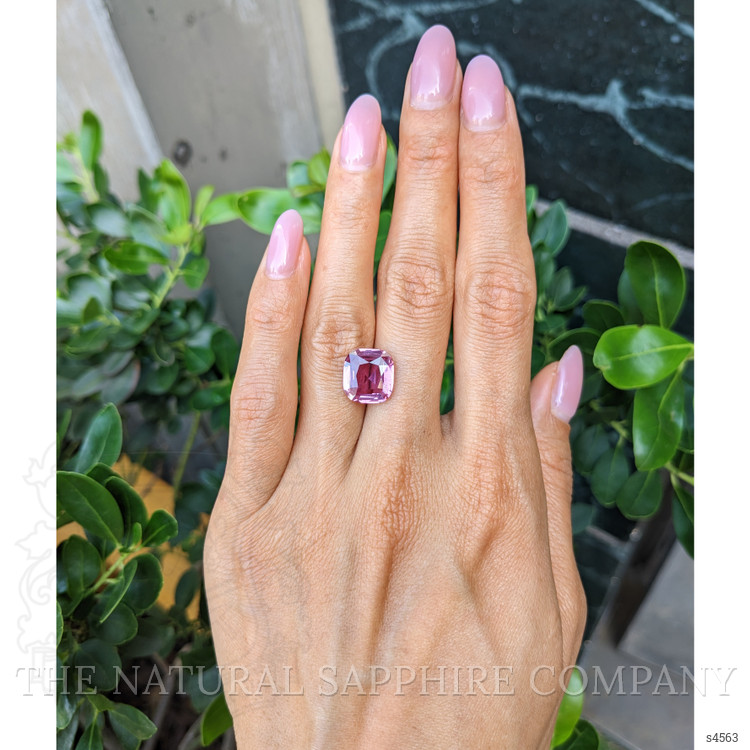 6.03 Ct. Pink Sapphire from Madagascar