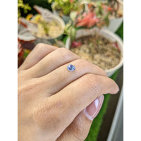 0.71 Ct. Violet Sapphire from Ceylon (Sri Lanka) Life Style