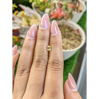 0.75 Ct. Yellow Sapphire from Ceylon (Sri Lanka) Life Style