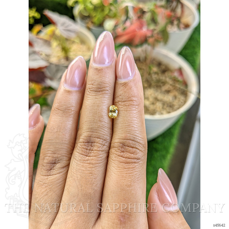 0.75 Ct. Yellow Sapphire from Ceylon (Sri Lanka)
