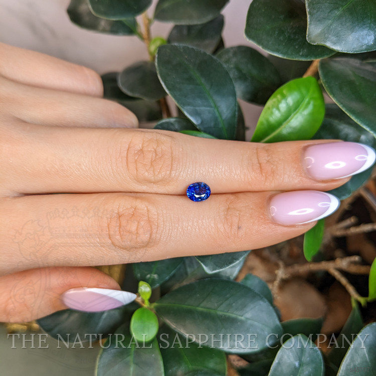 1.03 Ct. Blue Sapphire from Ceylon (Sri Lanka)