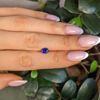 1.27 Ct. Blue Sapphire from Ceylon (Sri Lanka) Life Style