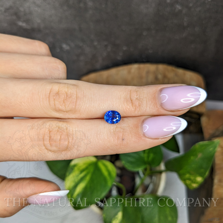 1.27 Ct. Blue Sapphire from Ceylon (Sri Lanka)