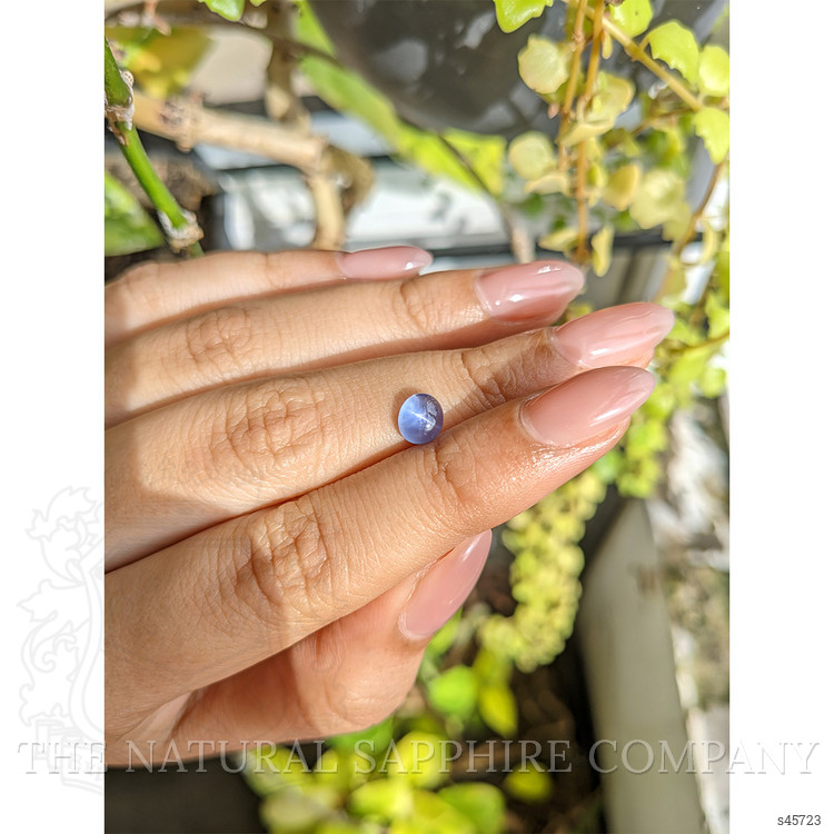 1.56 Ct. Purplish Blue Star Sapphire from Ceylon (Sri Lanka)