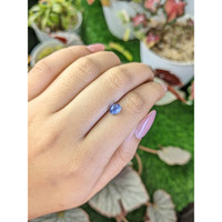 1.56 Ct. Purplish Blue Star Sapphire from Ceylon (Sri Lanka) Life Style