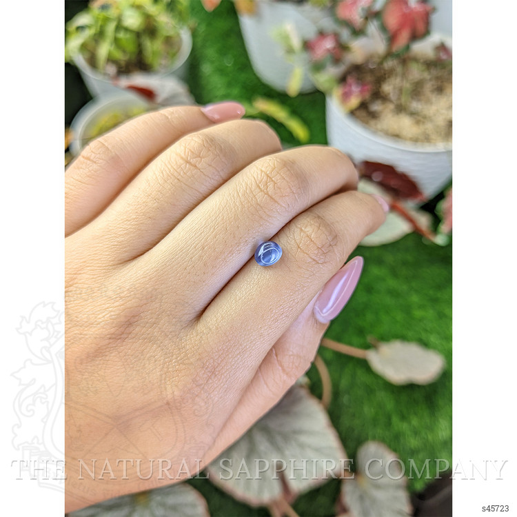 1.56 Ct. Purplish Blue Star Sapphire from Ceylon (Sri Lanka)
