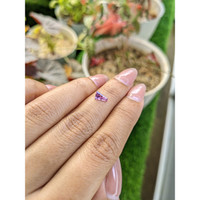 0.67 Ct. Purplish Pink Sapphire from Ceylon (Sri Lanka) Life Style