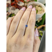 0.42 Ct. Blue Sapphire from Ceylon (Sri Lanka) Life Style