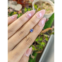 0.80 Ct. Blue Sapphire from Ceylon (Sri Lanka) Life Style