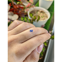 0.48 Ct. Blue Sapphire from Ceylon (Sri Lanka) Life Style