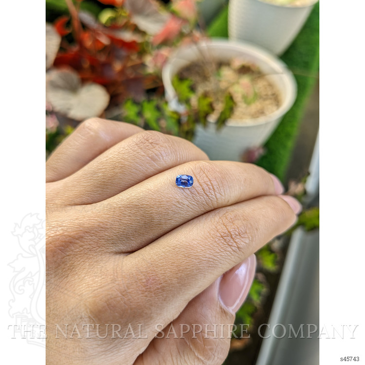 0.48 Ct. Blue Sapphire from Ceylon (Sri Lanka)