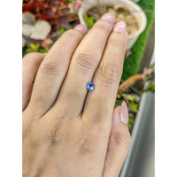 0.58 Ct. Blue Sapphire from Ceylon (Sri Lanka) Life Style